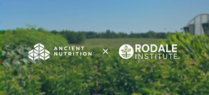Ancient Nutrition Rodale Institute partnership