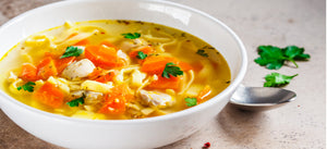 Bone Broth Protein chicken noodle soup recipe