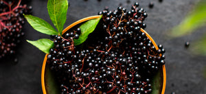 Elderberry supplement benefits