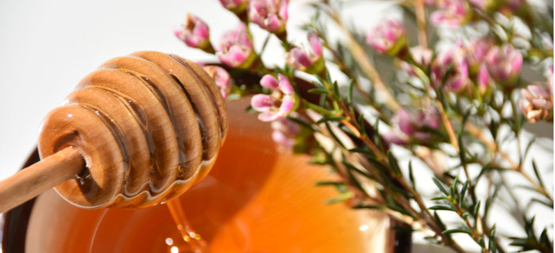 Manuka honey 