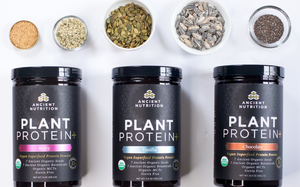 Ancient Nutrition's Plant Protein line