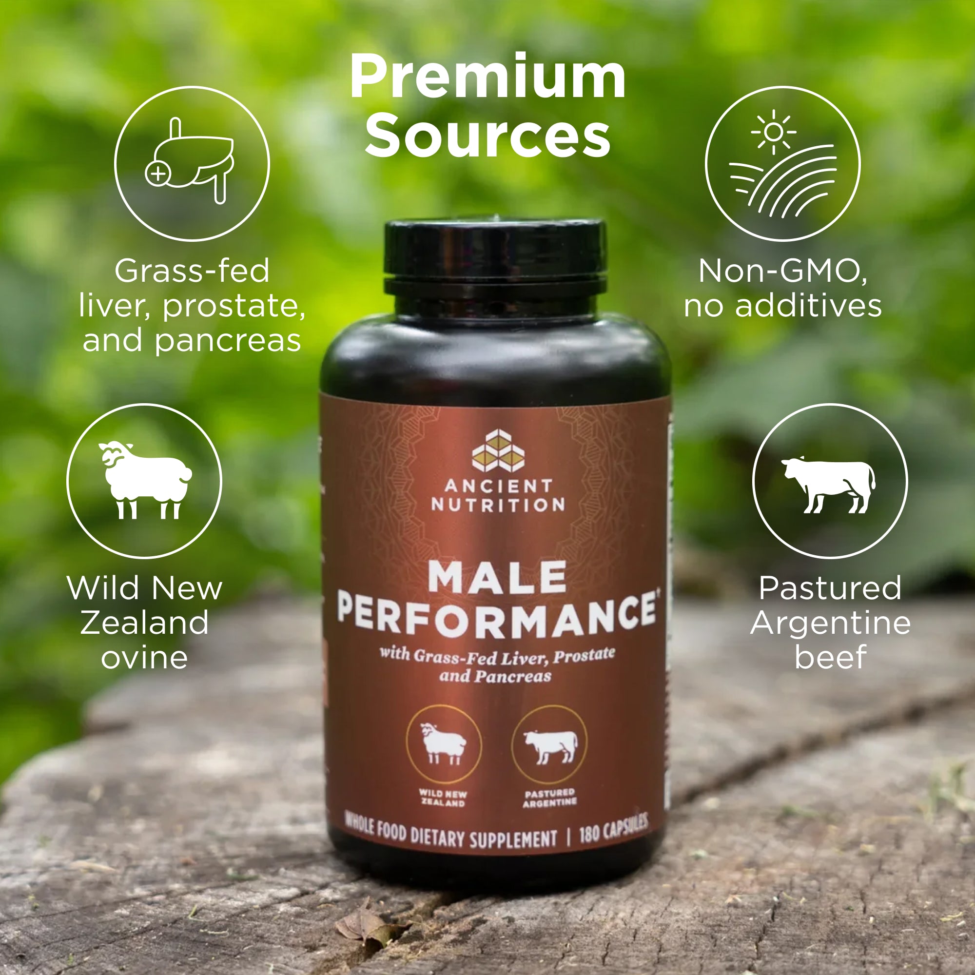 Supplement bottle labeled 'Male Performance' by Ancient Nutrition on a wooden surface with greenery in the background.