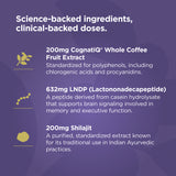 Active Peptides Memory + Focus† | Capsule (30 Servings)