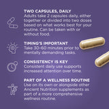 an image explaining how to use Active Peptides Memory + Focus† Capsule (30 Servings)