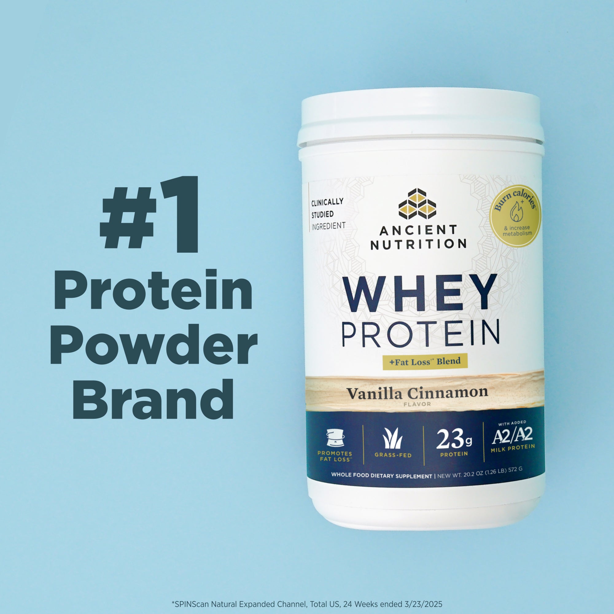 #1 protein powder brand