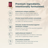 An informational marketing graphic for multi collagen protein cold brew. The top left shows a small bottle labeled 'Collagen' with a frother resting on it.