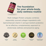 A promotional graphic for a bottle of Multi Collagen Protein Powder Cucumber Lime (45 Servings). The dark red bottle is shown in the upper left, with marketing text below on a light beige background.