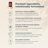A promotional infographic for multi collagen protein. The left side features a beige background with a small jar of the product at the top and five circular icons with text detailing its ingredients: hydrolyzed collagen peptides, chicken bone broth protein concentrate, non-GMO clinically studied fermented eggshell membrane collagen, vitamin C, and a probiotic.