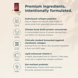 An informational graphic for multi protein powder, featuring a small bottle illustration at the top left and a list of premium ingredient benefits on a warm beige background. Text highlights hydrolyzed collagen peptides, chicken bone broth protein concentrate, clinically studied fermented eggshell collagen, lipid-enhanced vitamin C, and a gut-resilient probiotic.