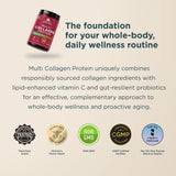 A promotional graphic for a bottle of multi collagen protein powder. The product bottle is shown in the upper left on a warm beige background with dark teal text describing its benefits.