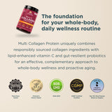 A promotional graphic for a bottle ofMulti Collagen Protein Pumpkin Cream (24 Servings). The product bottle is shown in the upper left on a light beige background with dark teal text describing its benefits.