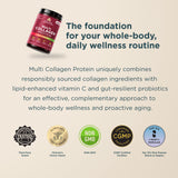 The foundation for your whole-body, daily wellness routine with image of Multi Collagen Protein Watermelon Lime (45 Servings) bottle