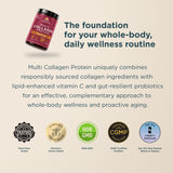 Multi Collagen Protein Powder Gingerbread (24 Servings) bottle with certification icons