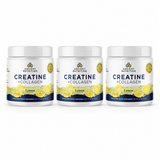Three bottles of Ancient Nutrition Creatine + Collagen arranged side-by-side on a white background.