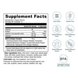 Multi Collagen Protein | Gel Packs Apple Cinnamon (15 Servings)