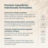 Multi Collagen Protein | Gel Packs Lime (28 Servings)