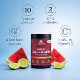 A tub of Ancient Nutrition Multi Collagen Protein powder centered on a light blue background, surrounded by watermelon slices, lime wedges, and infographic callouts about collagen types, CFU probiotics, real food sources, and vitamin C.