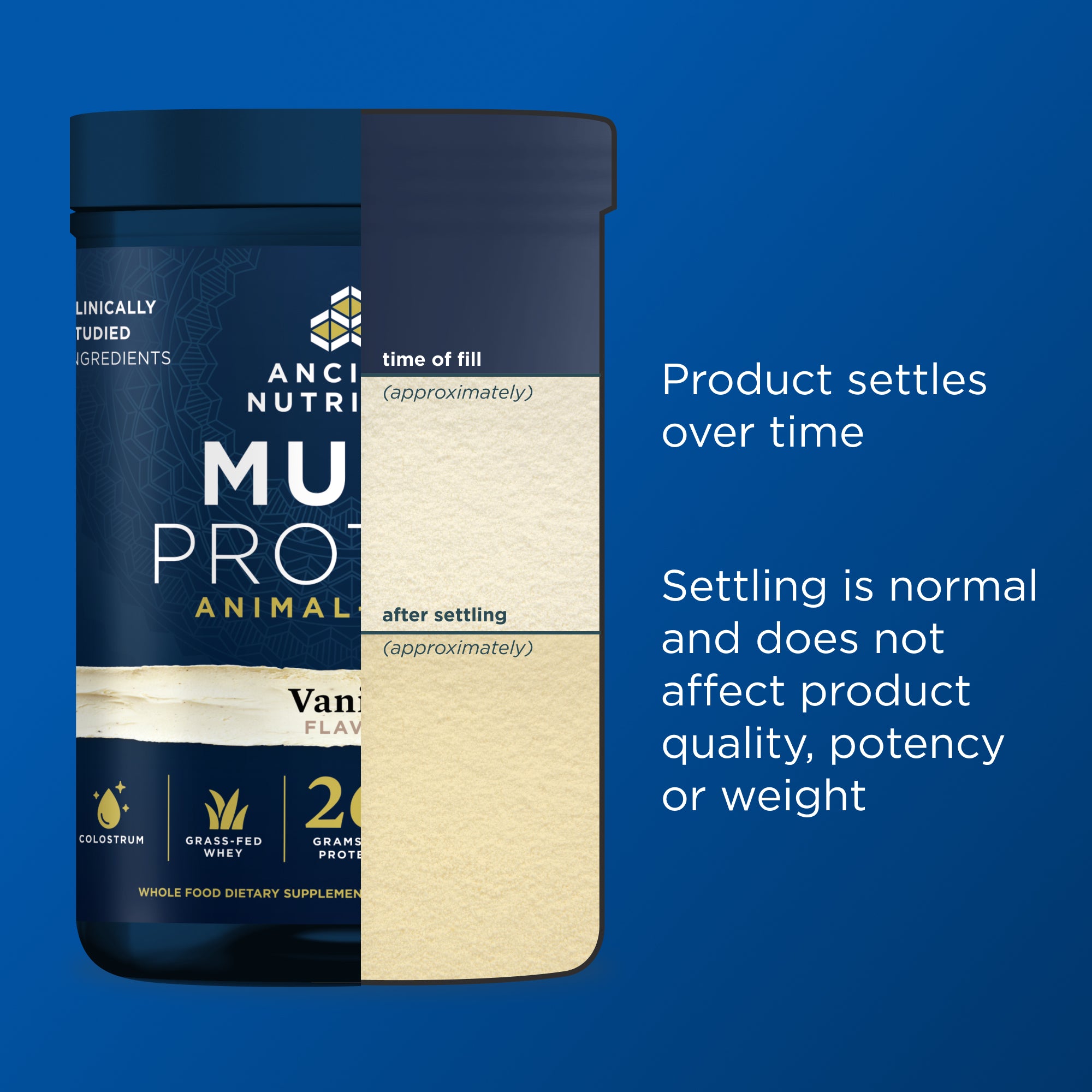 Container of Ancient Nutrition Multi-Protein with text about product settling on a blue background