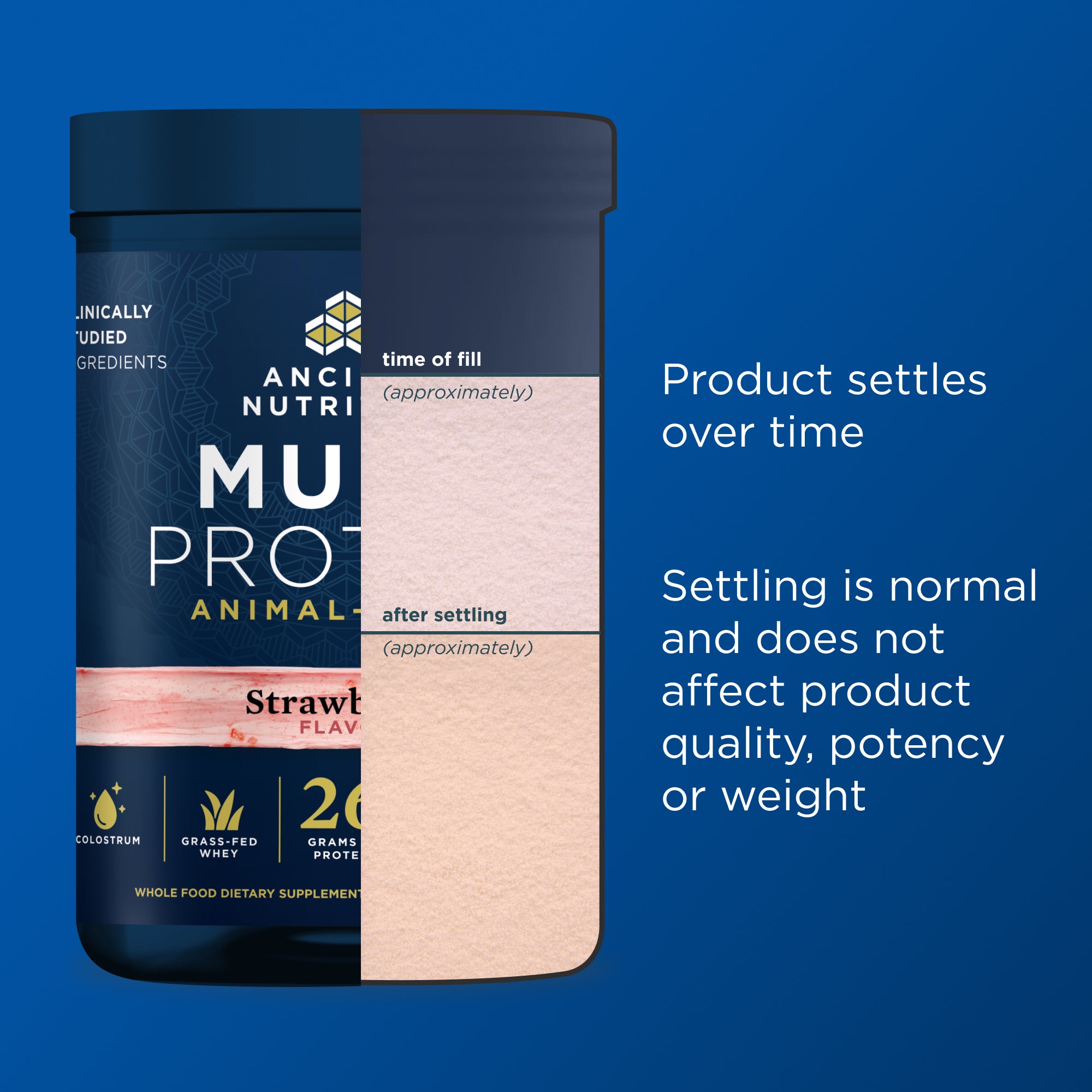 Ancient Nutrition Muscle Protein container with text on a blue background