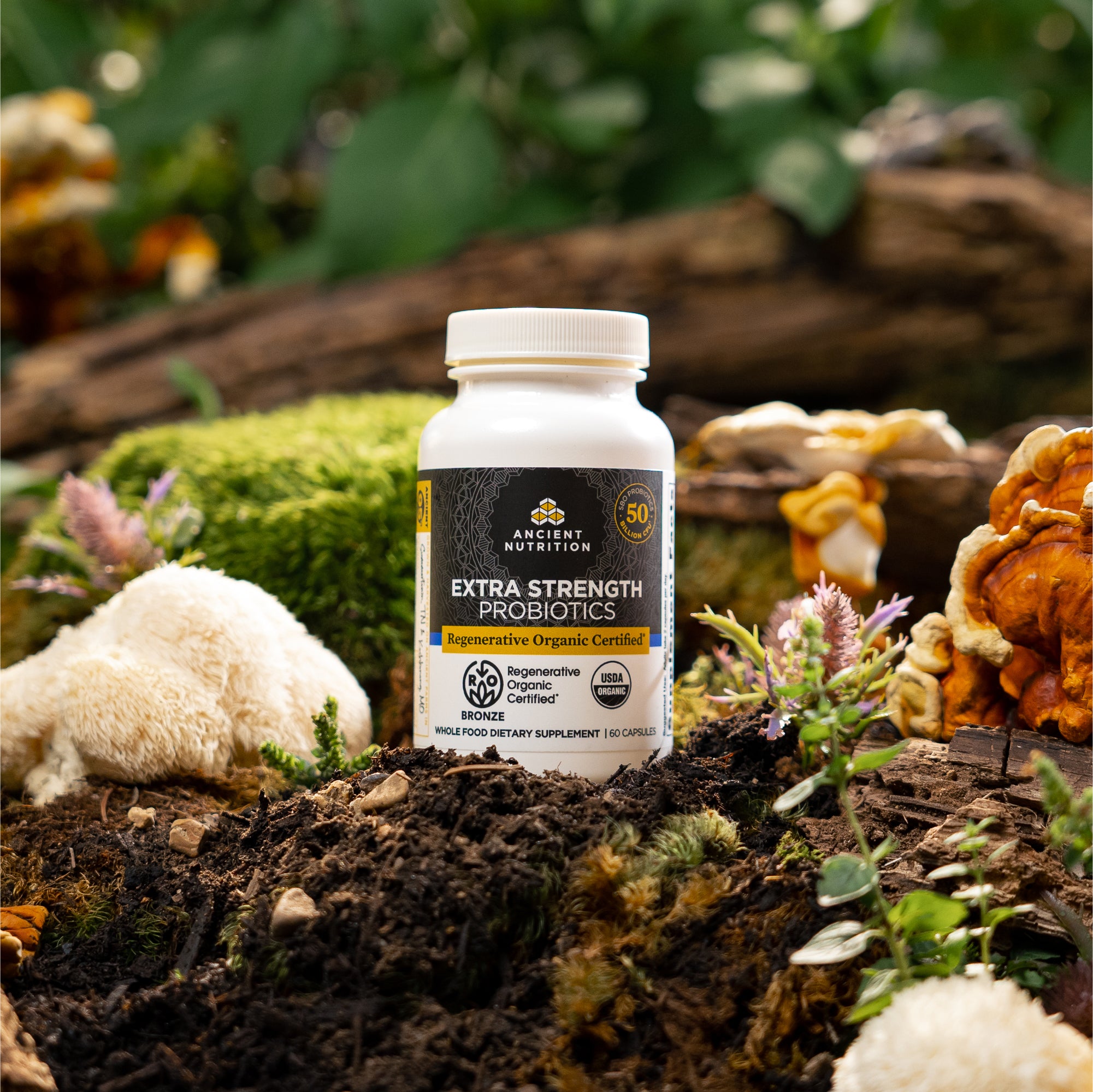 a bottle of Regenerative Organic Certified™ Extra Strength Probiotics on a mossy rock