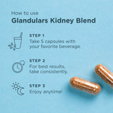 Instructions for using Glandulars Kidney Blend on a blue background with capsules.