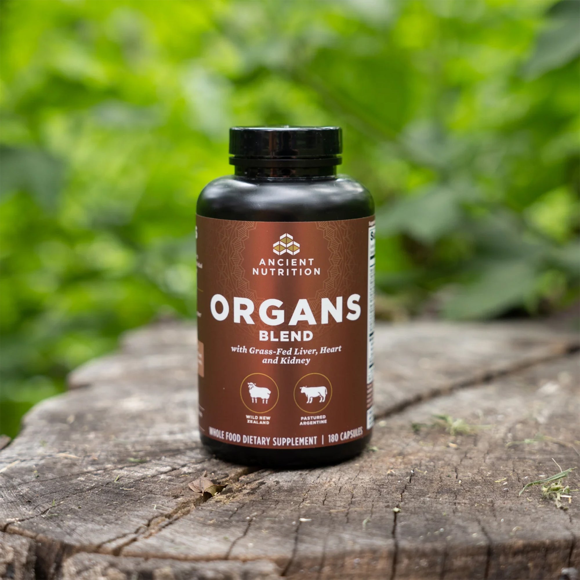 organs blend bottle on a tree stump