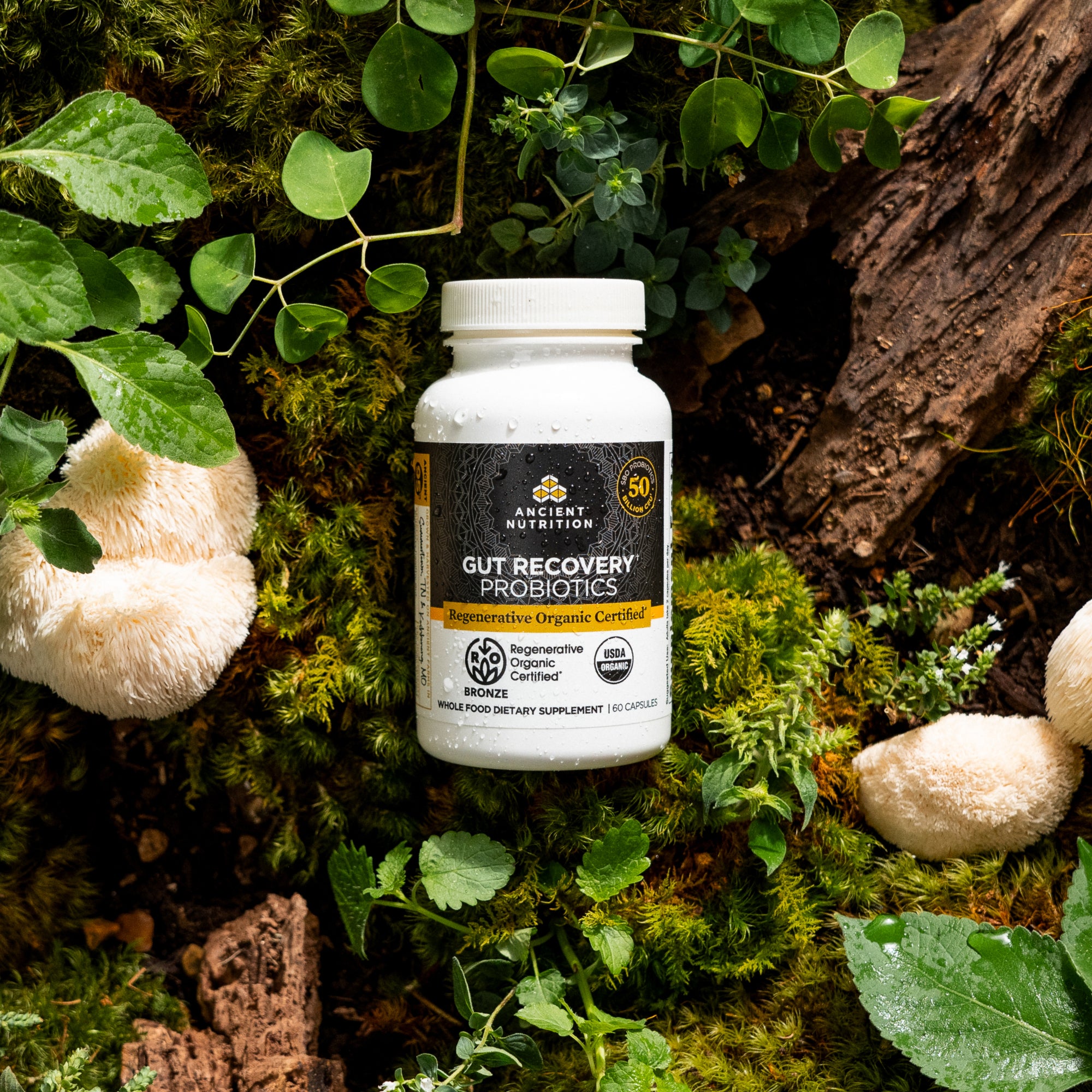 Regenerative Organic Certified™ Gut Recovery Probiotics on top of a mossy rock