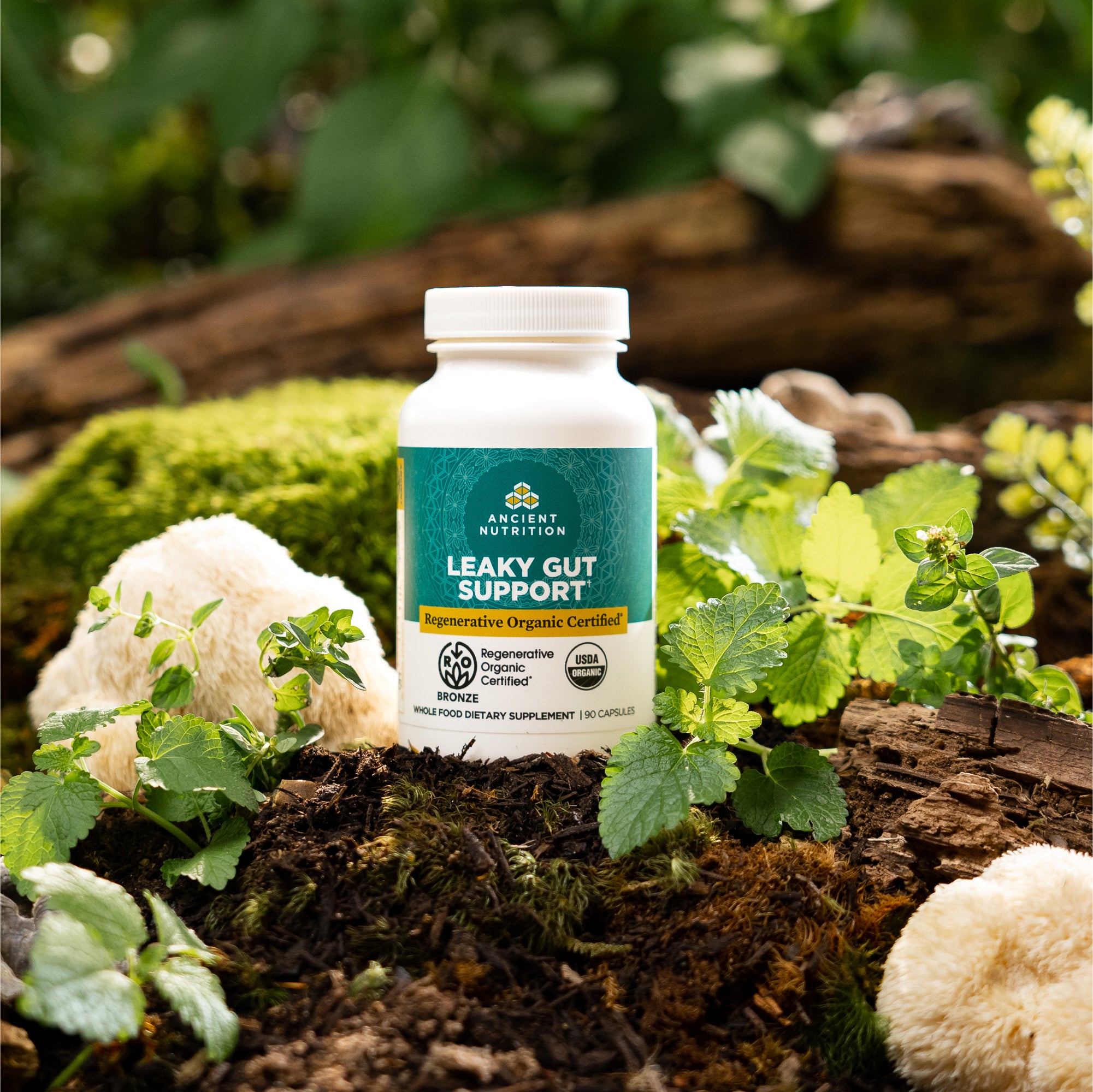 bottle of Regenerative Organic Certified™ Leaky Gut Support on a mossy rock