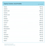 Whey Protein Powder chocolate amino acid profile