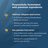 Men's Prostate Support | Capsules (30 Servings)