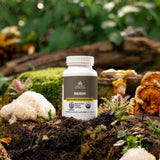 Regenerative Organic Certified® Reishi | Capsules (30 Servings)