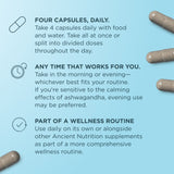 An informational graphic on a light blue background with three bullet points of text about taking four capsules daily, anytime that works for you, and as part of a wellness routine. Several brown capsules are shown along the right and bottom edges.