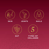 Multi Collagen Capsules - 6 Pack - DR Exclusive Offer
