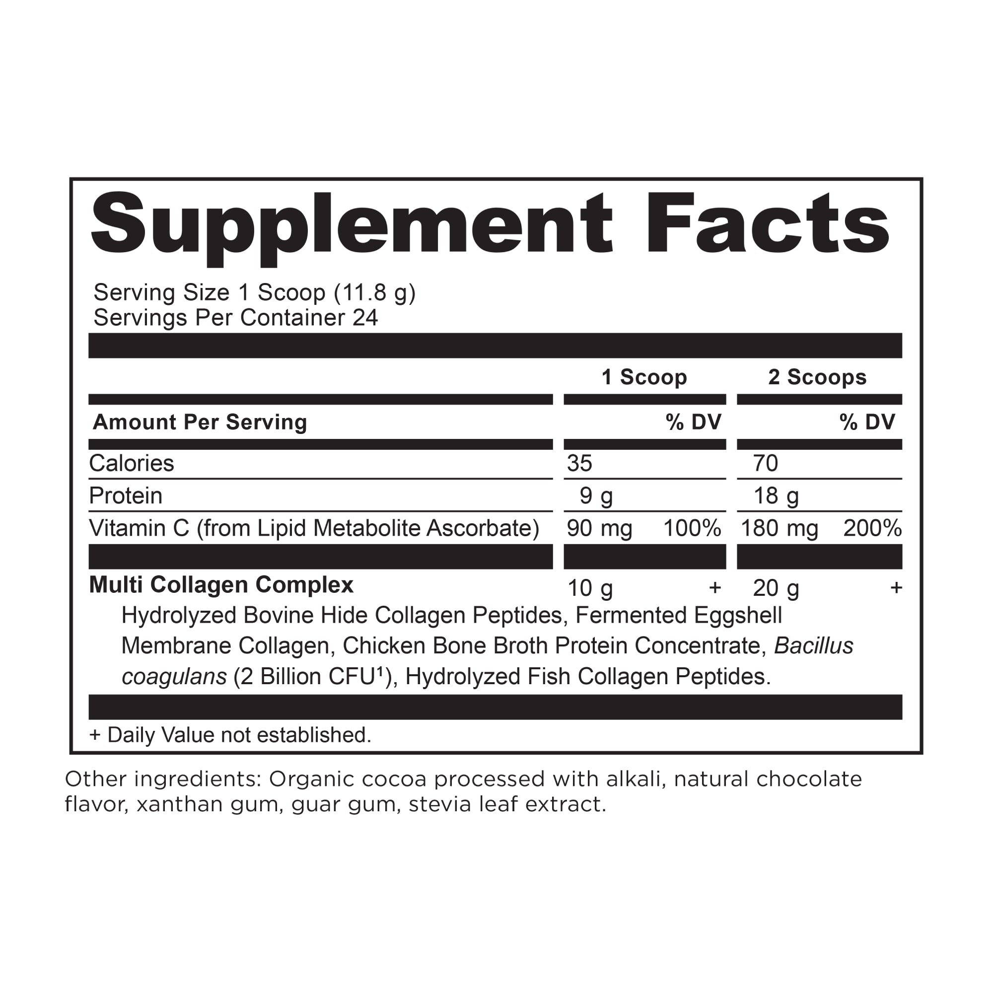 multi collagen protein chocolate supplement label