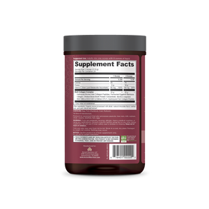multi collagen protein chocolate back of bottle